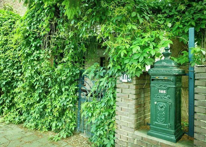 Cosy In With Terrace Apartment