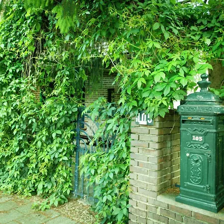 Cosy In With Terrace Lägenhet